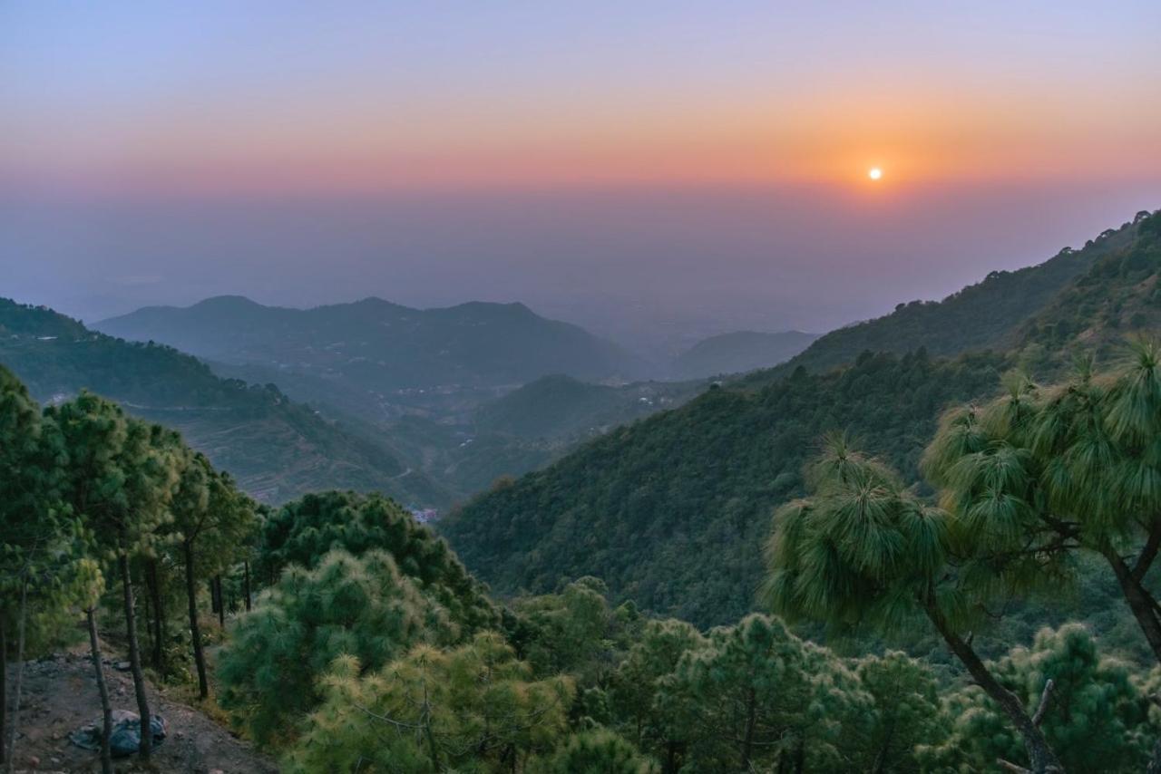 Urban Wave 2Bed Rooms By The North Edge Kasauli Dış mekan fotoğraf