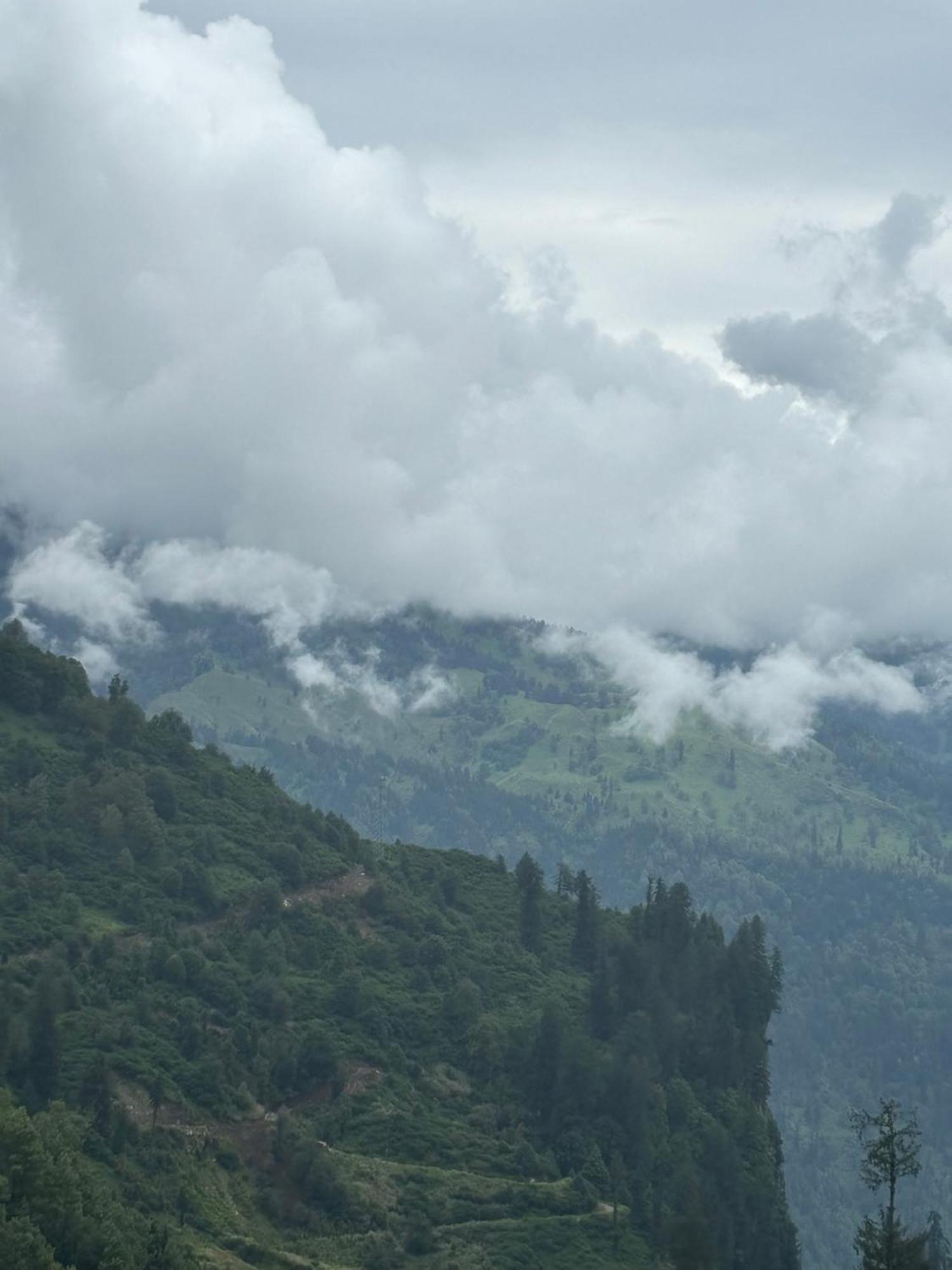Urban Wave 2Bed Rooms By The North Edge Kasauli Dış mekan fotoğraf